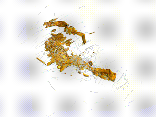 左岸金矿